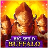 Logo of Big Wild Buffalo from Belatra Games at Night Luck Casino
